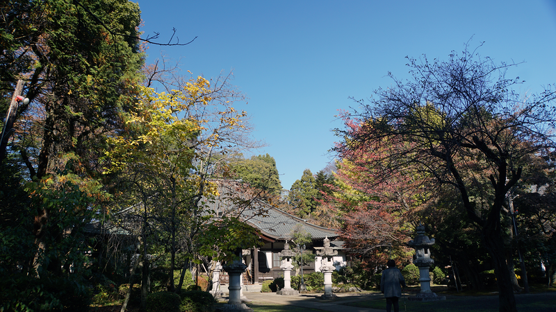 無量光寺（相模原市南区）