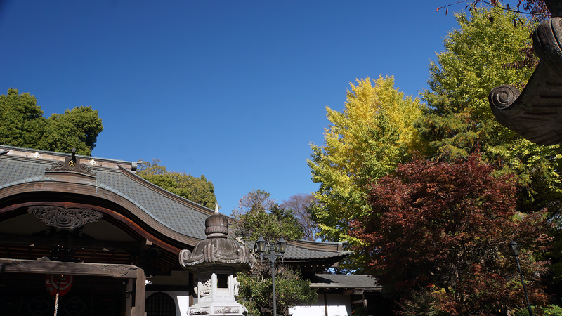 無量光寺（相模原市南区）