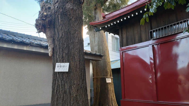 谷口山野稲荷神社〈蚕守稲荷大明神〉（相模原市南区相模大野）