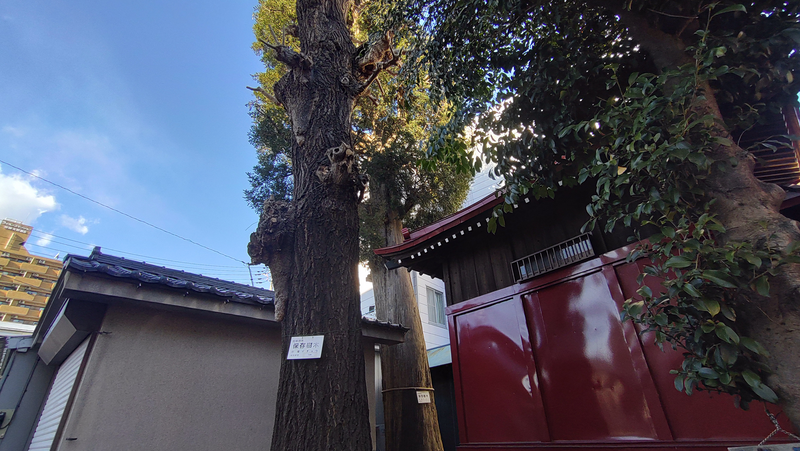 谷口山野稲荷神社〈蚕守稲荷大明神〉（相模原市南区相模大野）