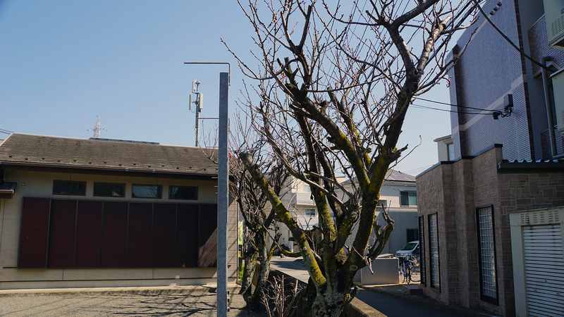 金山神社（相模原市南区上鶴間本町）