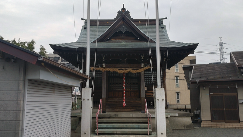 谷口中和田さくら散歩（相模原市南区上鶴間本町）