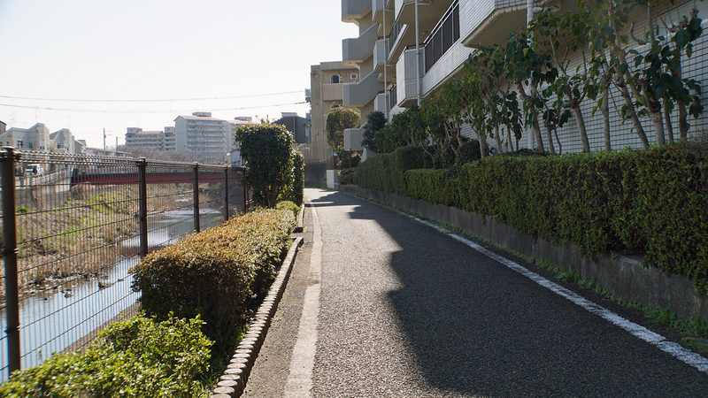 谷口中和田さくら散歩（相模原市南区上鶴間本町）