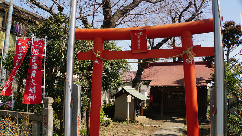 谷口中和田さくら散歩（相模原市南区上鶴間本町）