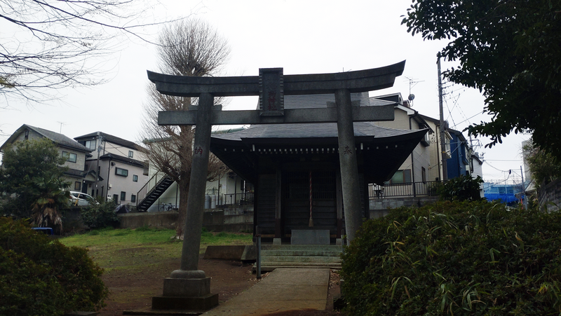 谷口中和田さくら散歩（相模原市南区上鶴間本町）