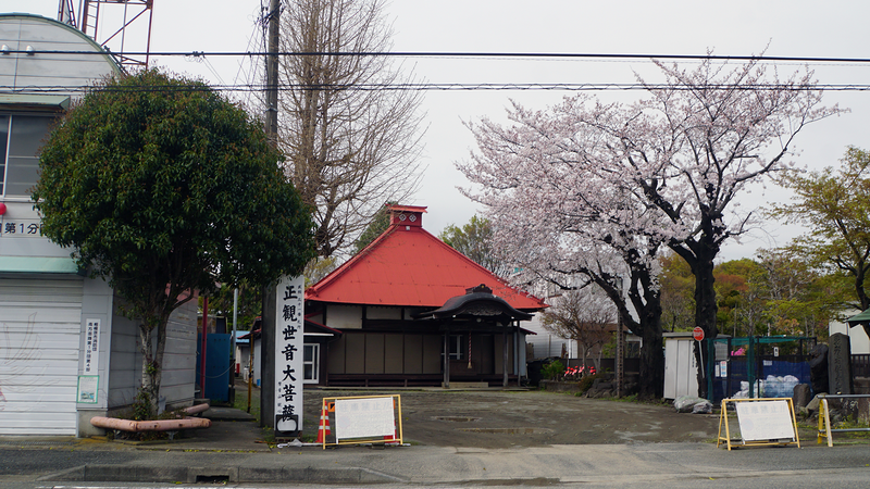 麻溝周辺さくら散歩（相模原市南区当麻・下溝）