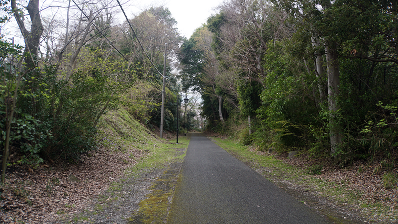 麻溝周辺さくら散歩（相模原市南区当麻・下溝）