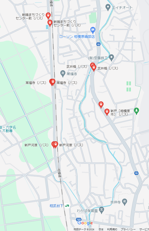 相模線 新磯桜並木（相模原市南区磯部・新戸）