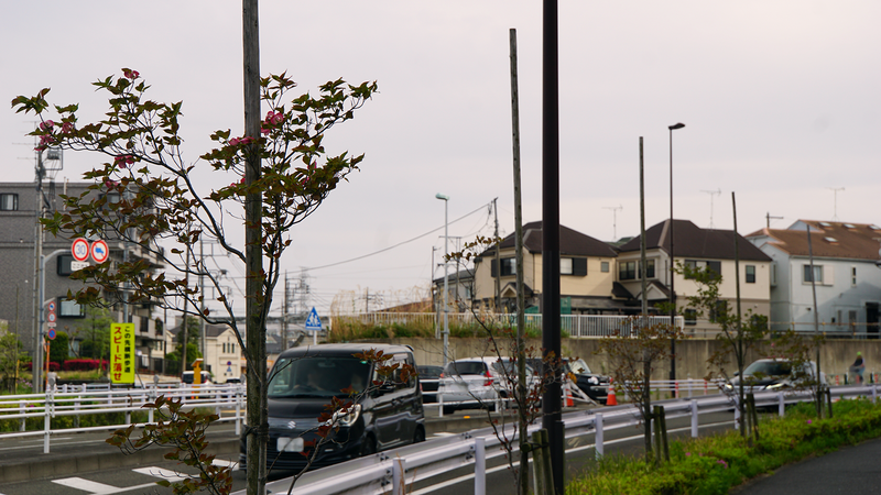 神奈川県道52号線を起点から終点まで歩いてみた