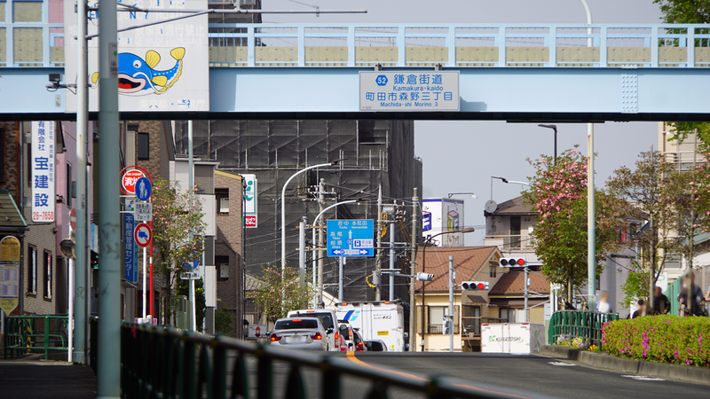 神奈川県道52号線を起点から終点まで歩いてみた