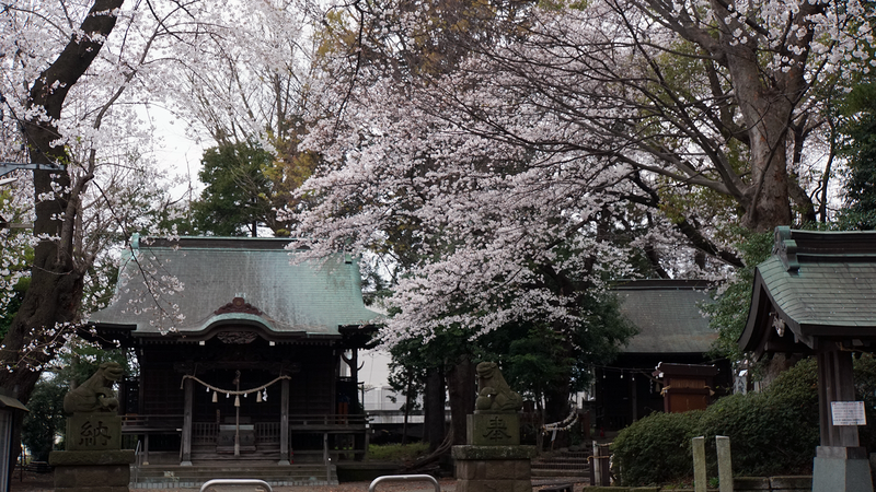 長嶋神社（相模原市南区上鶴間本町）