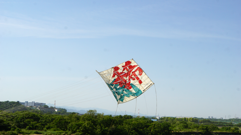 相模の大凧まつり2024③