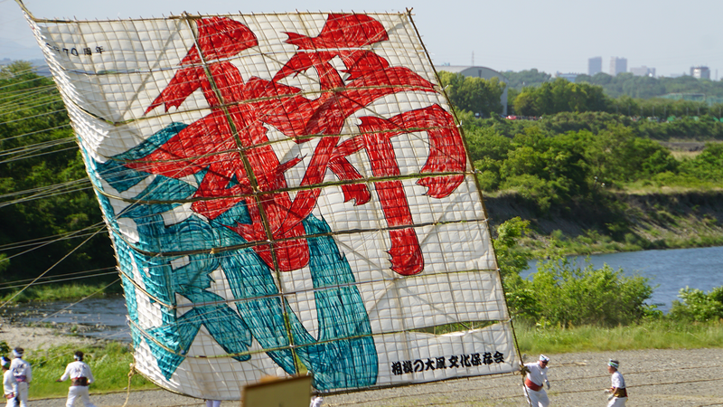 相模の大凧まつり2024③