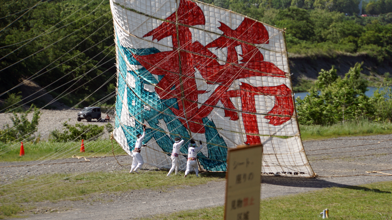 相模の大凧まつり2024③