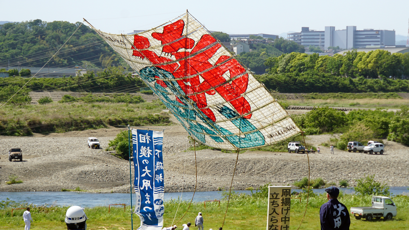 相模の大凧まつり2024③