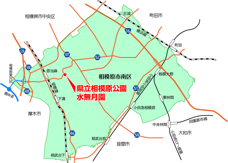 相模原公園 水無月園（相模原市南区下溝）