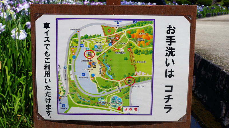 相模原公園 水無月園（相模原市南区下溝）