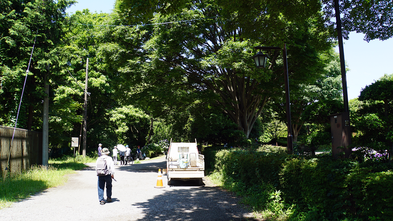 相模原公園 水無月園（相模原市南区下溝）