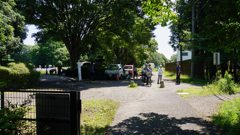 相模原公園 水無月園（相模原市南区下溝）