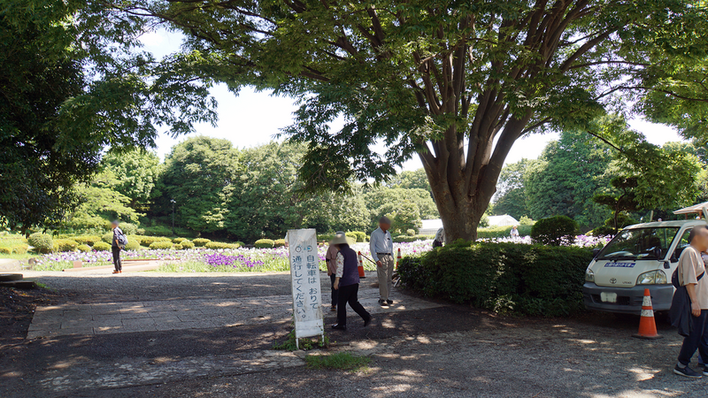 相模原公園 水無月園（相模原市南区下溝）