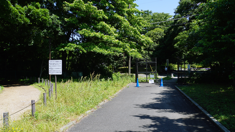 相模原公園 水無月園（相模原市南区下溝）