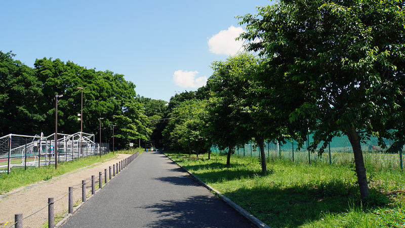 相模原公園 水無月園（相模原市南区下溝）