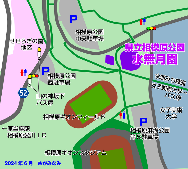 相模原公園 水無月園（相模原市南区下溝）