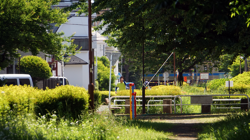 県道51号線④ ―行幸道路を歩いてみた―
