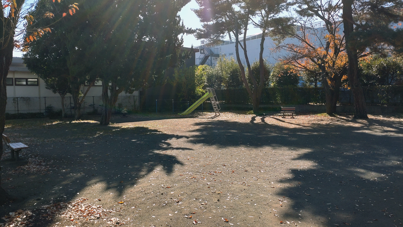 大野台御嶽神社（相模原市南区大野台）