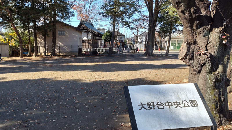 大野台御嶽神社（相模原市南区大野台）
