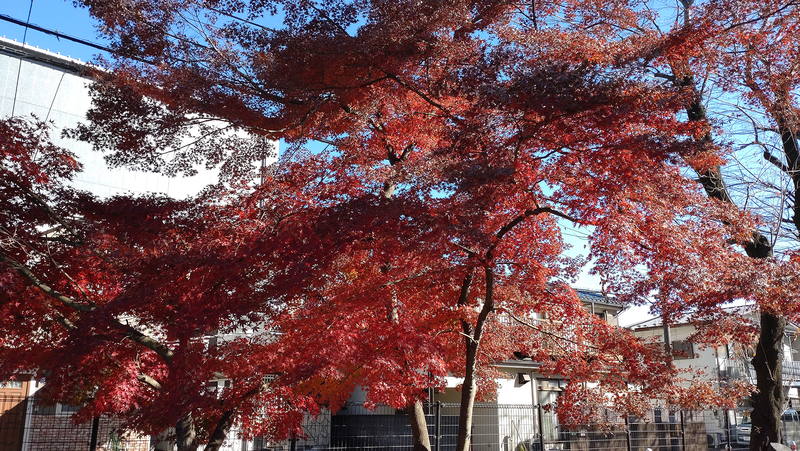 大野台御嶽神社（相模原市南区大野台）