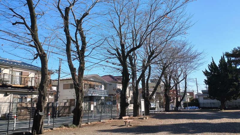 大野台御嶽神社（相模原市南区大野台）