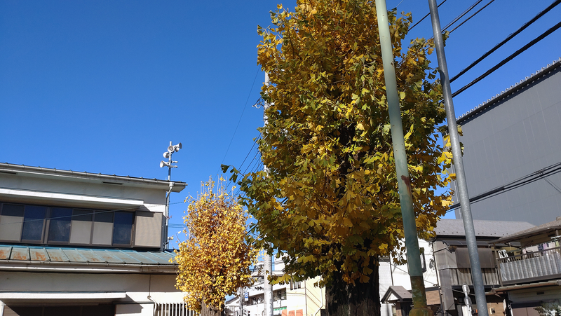 大野台御嶽神社（相模原市南区大野台）