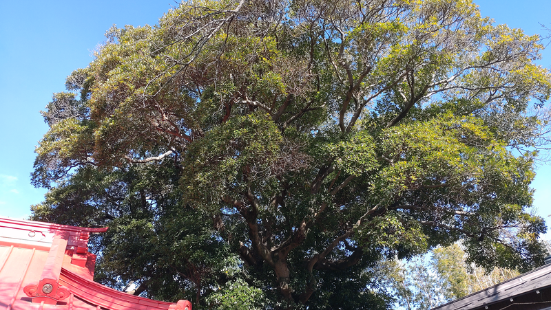 下磯部 御嶽神社（相模原市南区磯部）