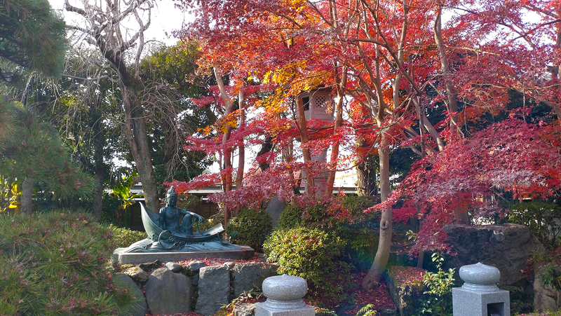 泉龍寺（相模原市南区上鶴間本町）