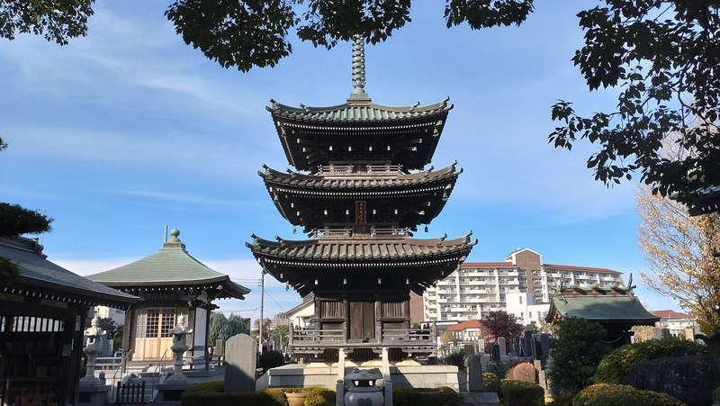泉龍寺（相模原市南区上鶴間本町）