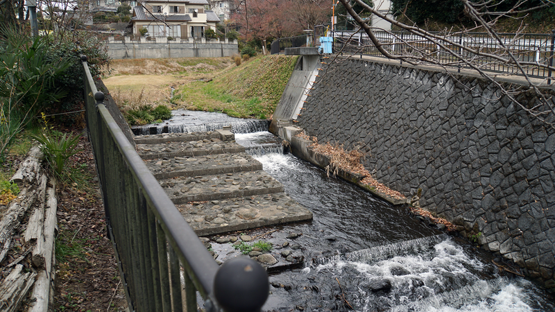 お正月初詣散歩2025③ -番田・原当麻・下溝-