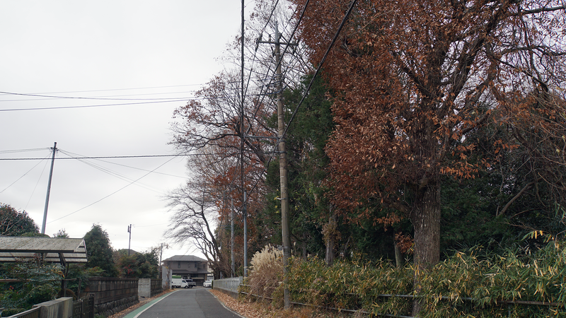 お正月初詣散歩2025③ -番田・原当麻・下溝-