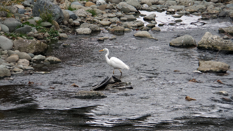 お正月初詣散歩2025③ -番田・原当麻・下溝-