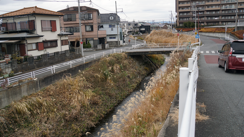 お正月初詣散歩2025③ -番田・原当麻・下溝-