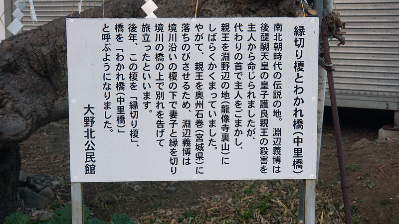 お正月初詣散歩2025⑤ -古淵から淵野辺へ-
