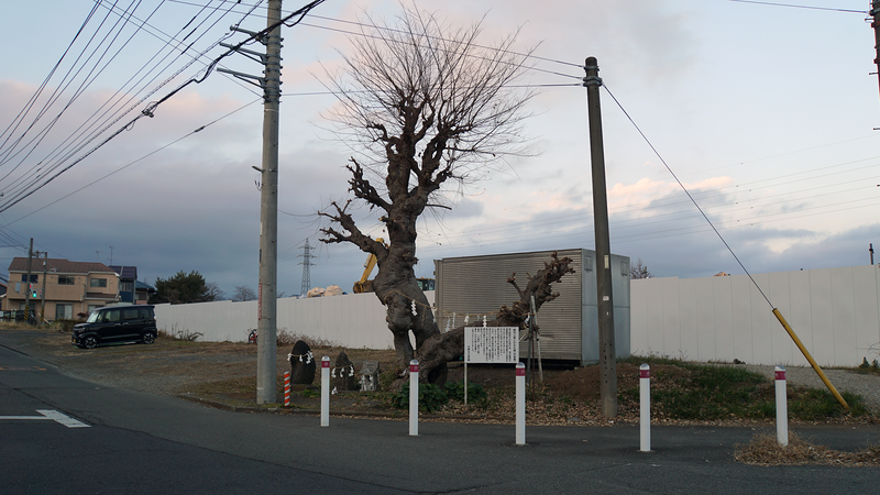 お正月初詣散歩2025⑤ -古淵から淵野辺へ-