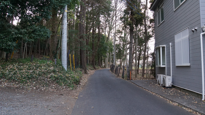 お正月初詣散歩2025⑤ -古淵から淵野辺へ-