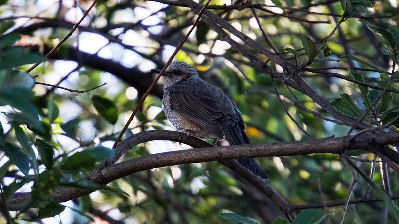 県道507号線① ―「村富線」を歩いてみた―