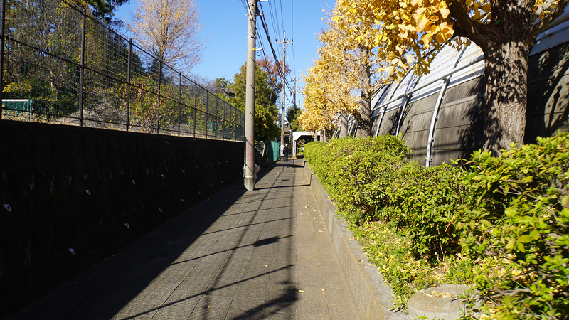 県道507号線① ―「村富線」を歩いてみた―