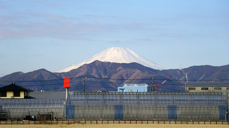 県道46号線⑧ ―相模原茅ヶ崎線を歩いてみた―
