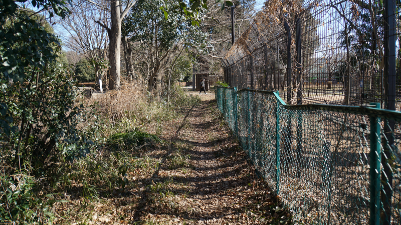 相模原市道 下溝76号・下溝68号（相模原市南区下溝）