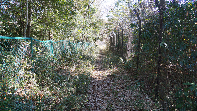 相模原市道 下溝76号・下溝68号（相模原市南区下溝）