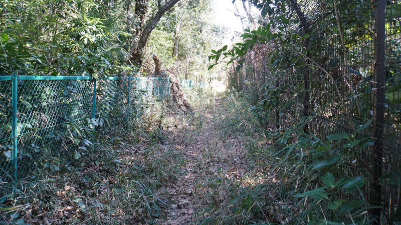 相模原市道 下溝76号・下溝68号（相模原市南区下溝）