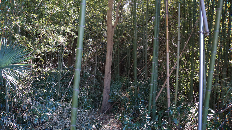 相模原市道 下溝76号・下溝68号（相模原市南区下溝）